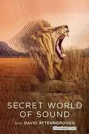 聆听地球心跳：《大卫·艾登堡：大自然的声音》——一部献给地球的深情告白